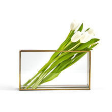 Load image into Gallery viewer, Window Vase